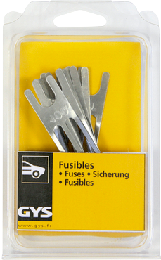 Sicherungen GYS Spez. Set à 10Stk. 100A