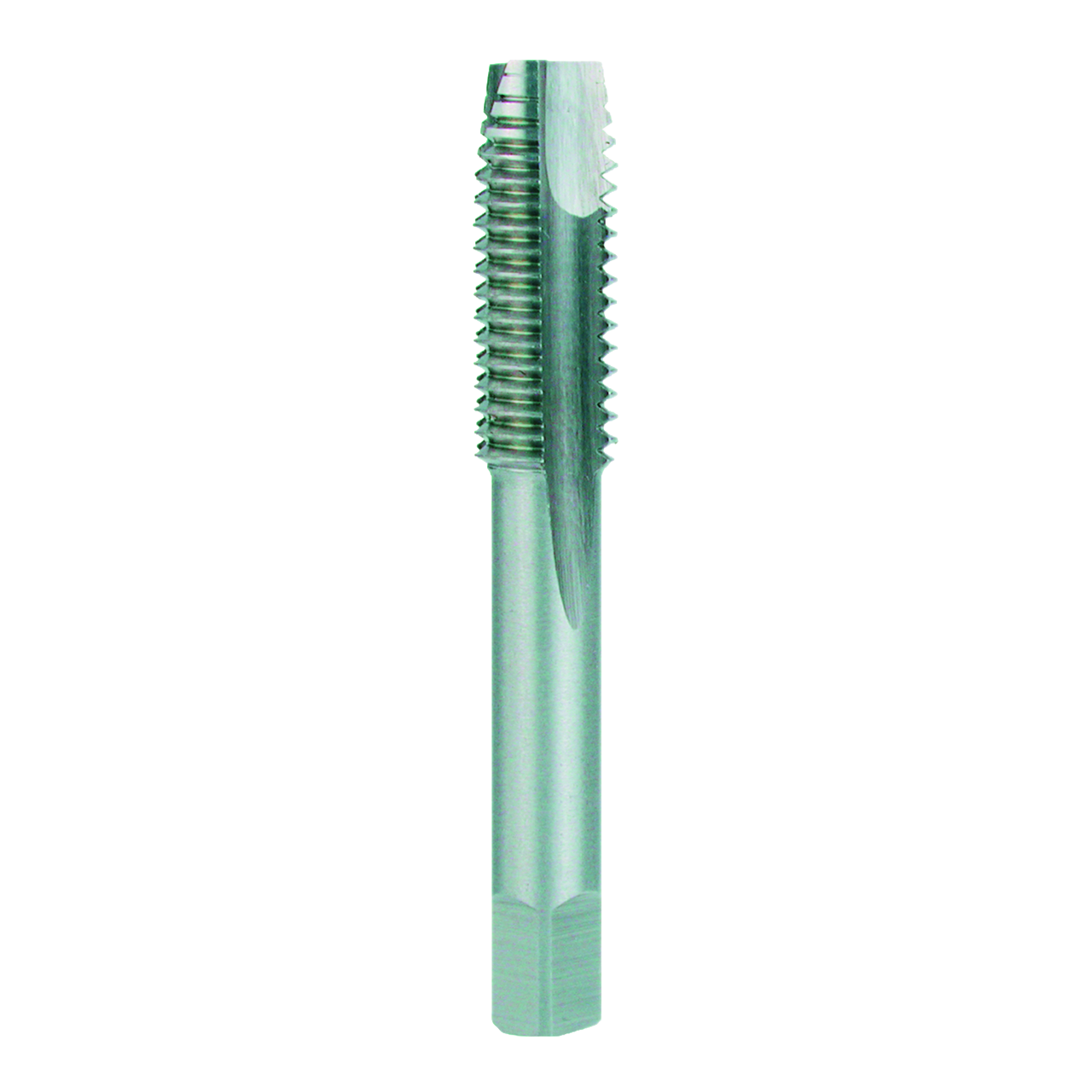 Taraud 1 passe Ruko HSS pour ProCoil M 14