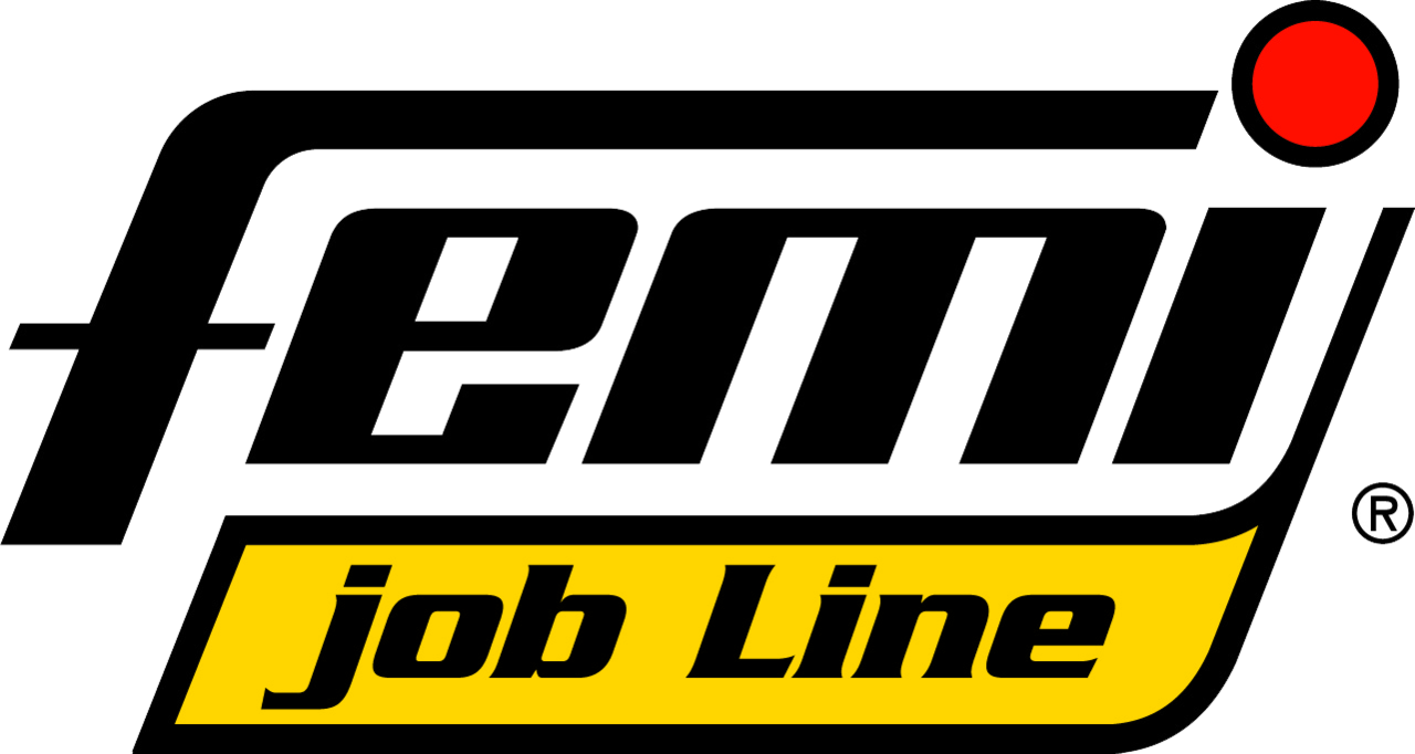 FEMI