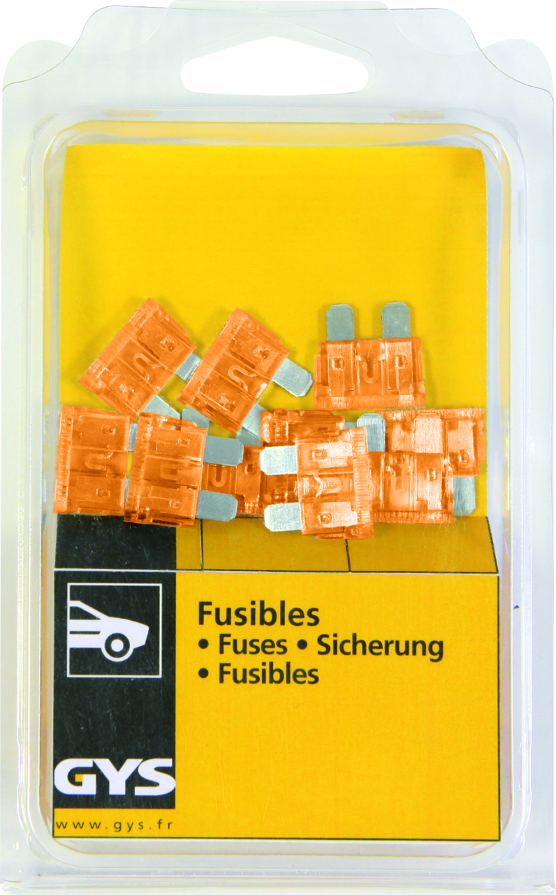 Sicherungen Set GYS à 10 Stk. 40A