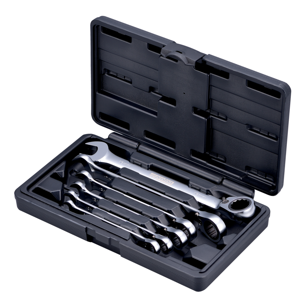 Ringgabel Ratschenschlüssel Satz Proton RS-6C 6-teilig