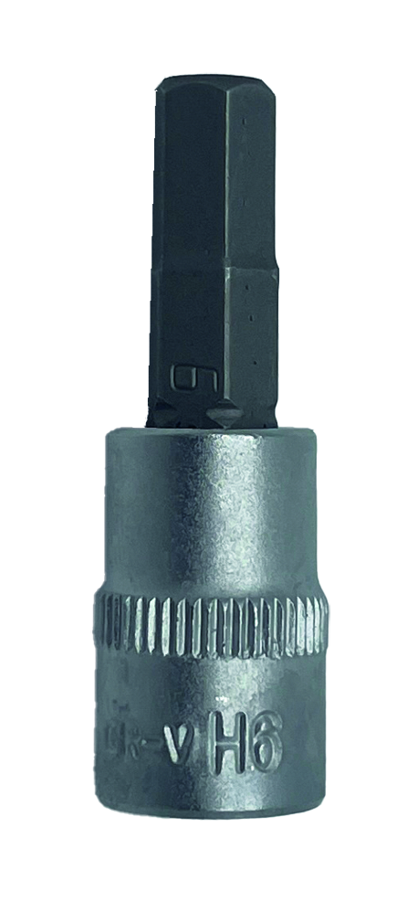Bit-Stecknuss Proton 1/4", H8